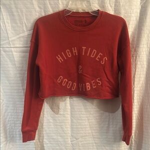 Red Graphic Crop Hoodie